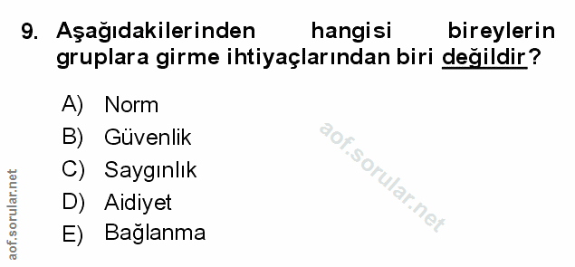 Soru 9