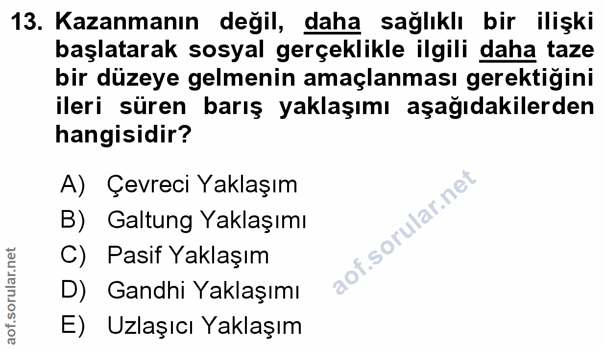 Soru 13