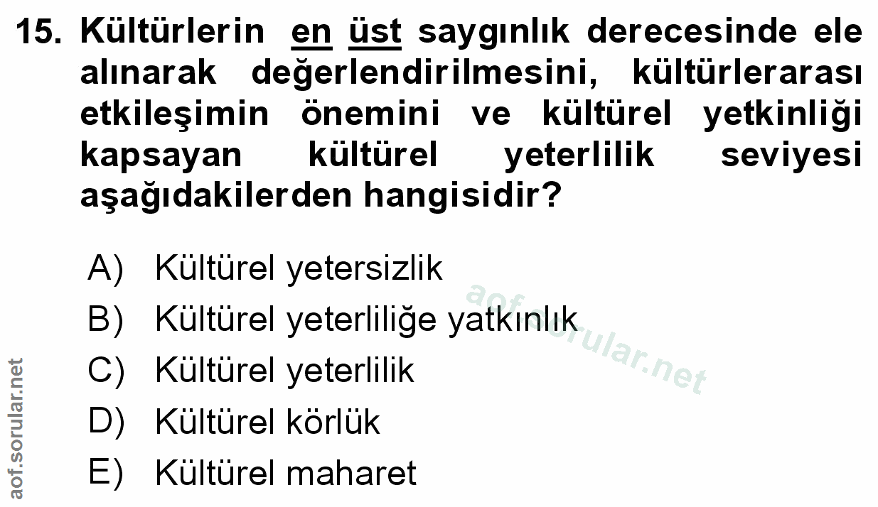 Soru 15