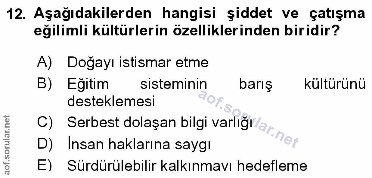 Soru 12