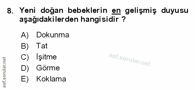 Soru 8