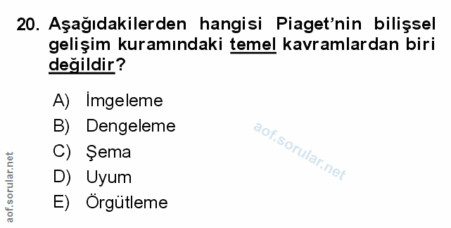 Soru 20