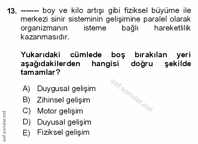Soru 13