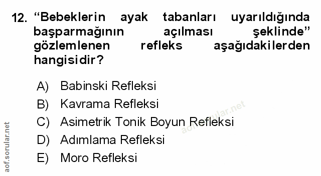 Soru 12
