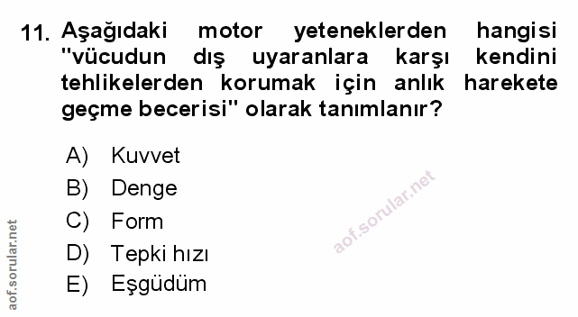 Soru 11