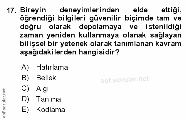 Soru 17