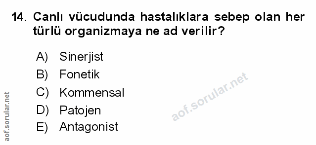 Soru 14