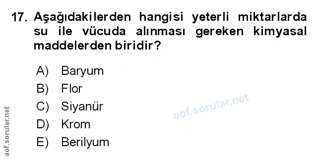 Soru 17
