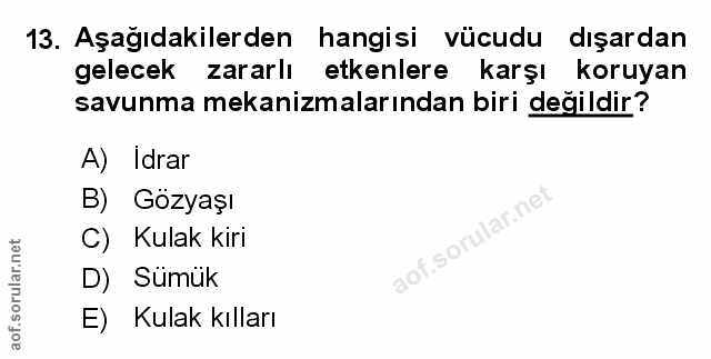 Soru 13