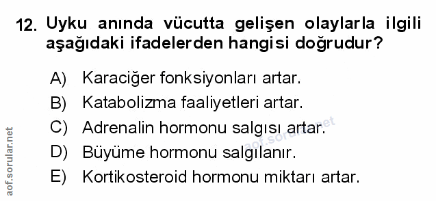 Soru 12