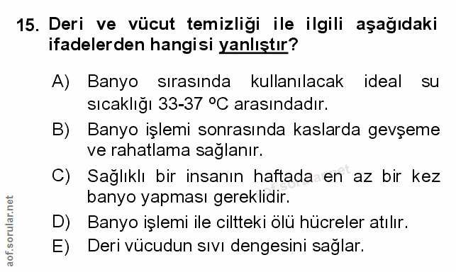 Soru 15