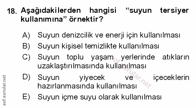 Soru 18