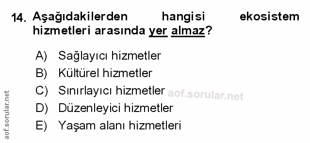 Soru 14