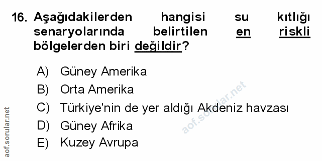 Soru 16