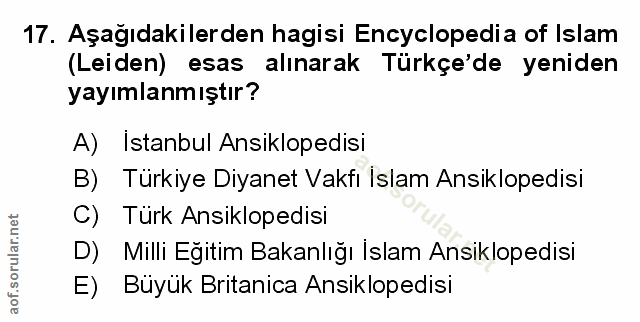 Soru 17
