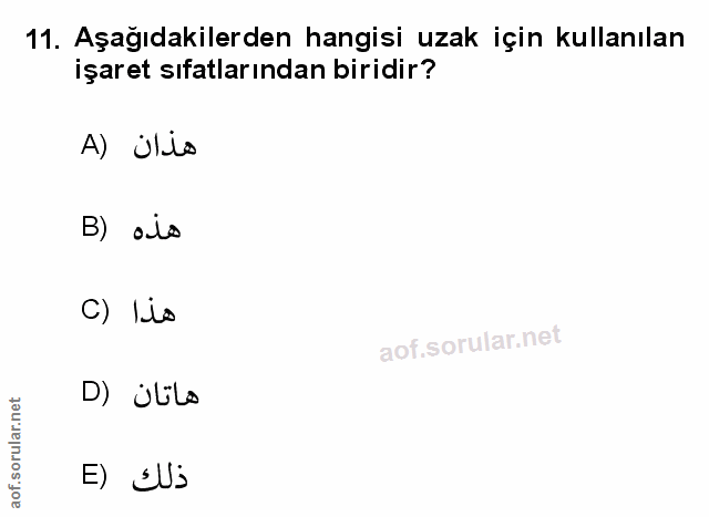 Soru 11