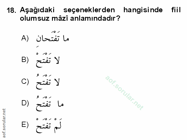 Soru 18