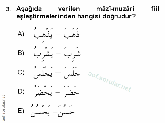 Soru 3