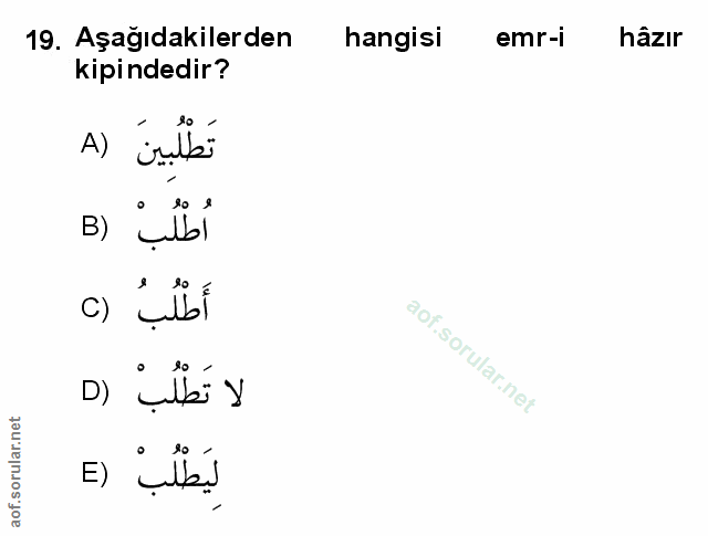 Soru 19