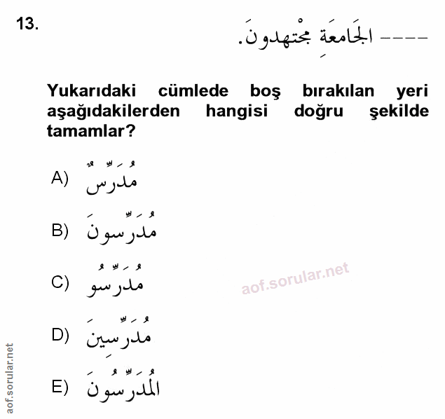 Soru 13