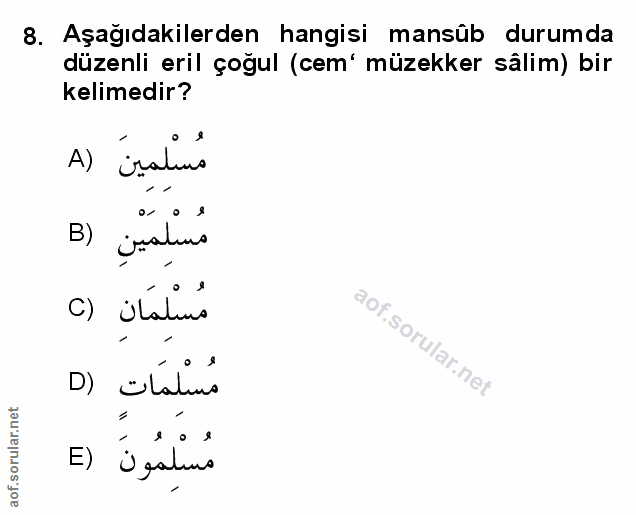 Soru 8