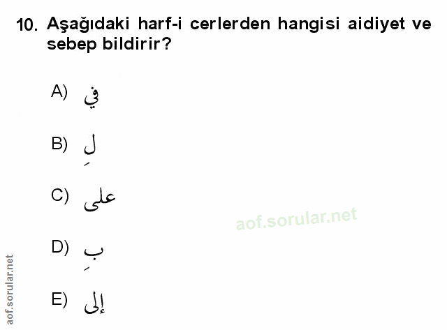 Soru 10