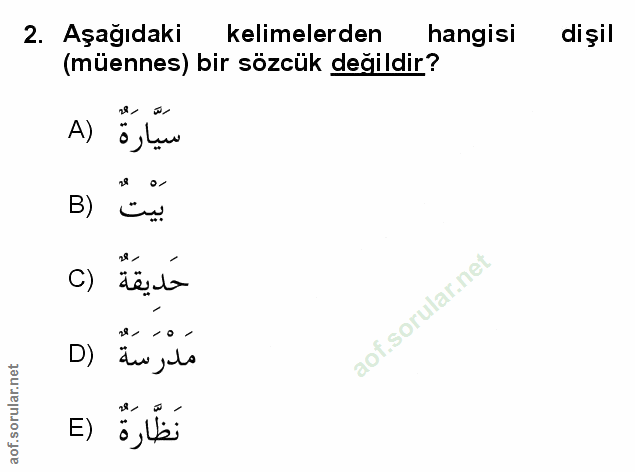 Soru 2