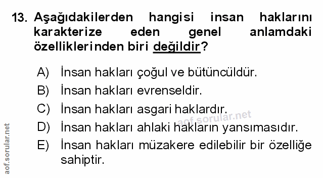 Soru 13