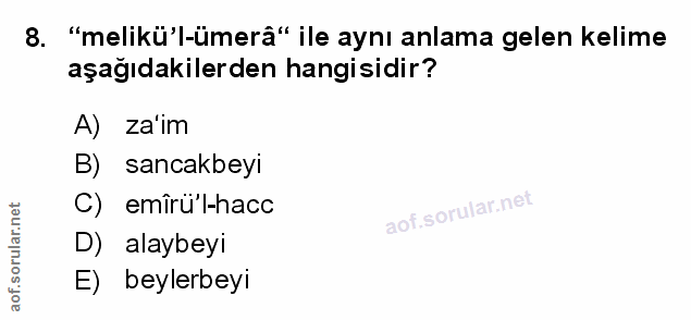 Soru 8