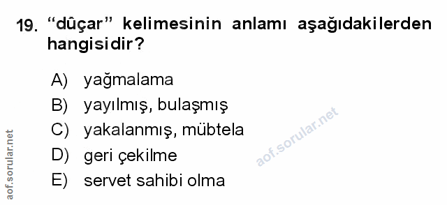Soru 19
