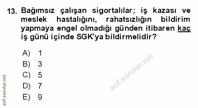 Soru 13