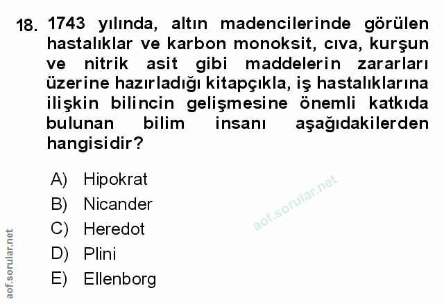 Soru 18