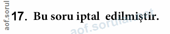 Soru 17