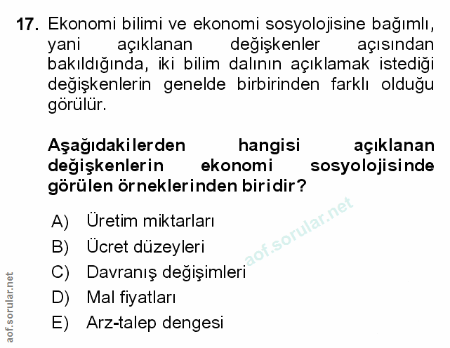 Soru 17