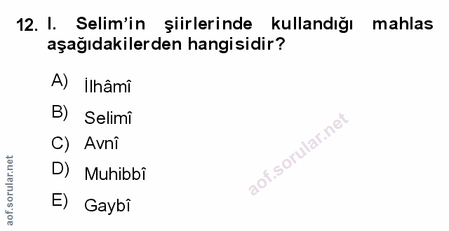Soru 12