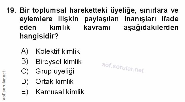 Soru 19