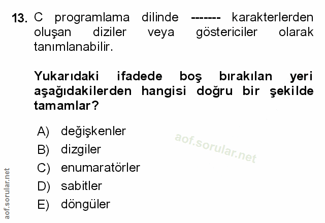 Soru 13