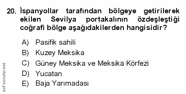 Soru 20