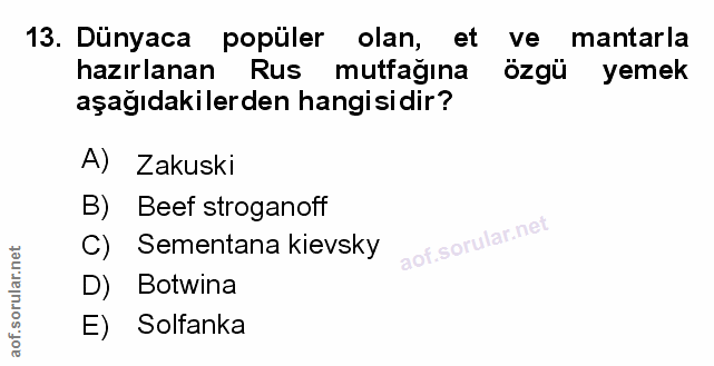 Soru 13