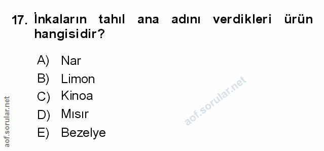 Soru 17