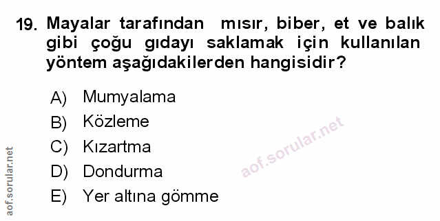 Soru 19