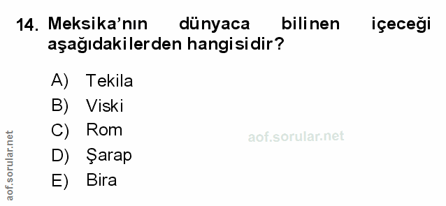 Soru 14