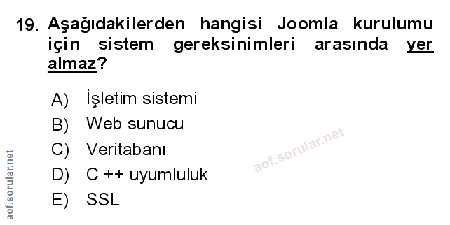 Soru 19