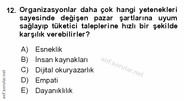 Soru 12