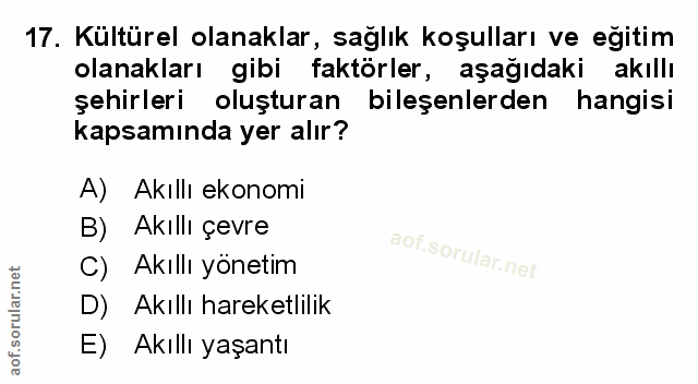 Soru 17