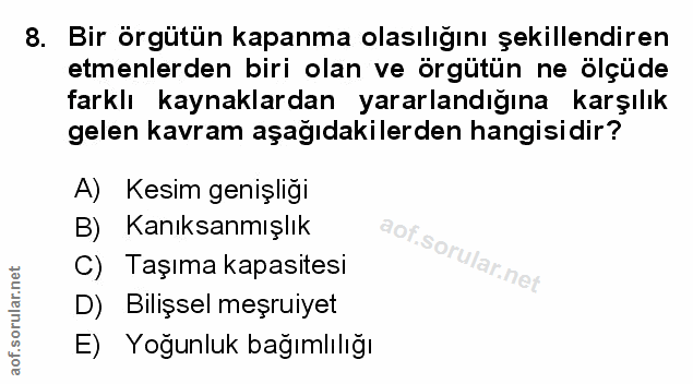Soru 8