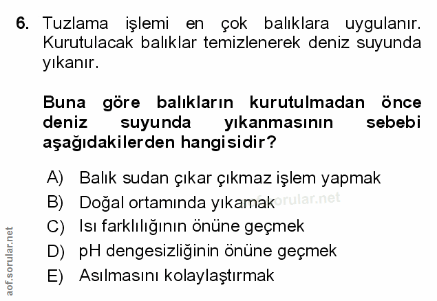 Soru 6