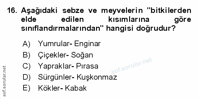 Soru 16