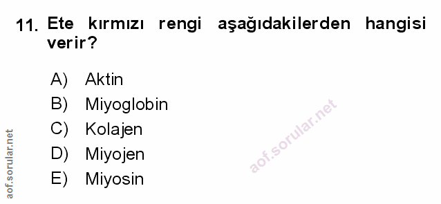 Soru 11