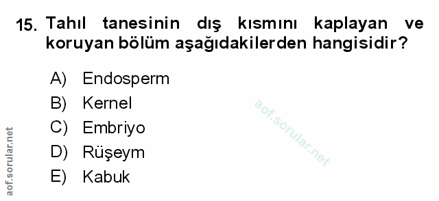 Soru 15